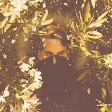 creator Seth S.'s avatar