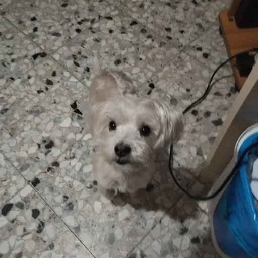 creator raffyyyy💕👸🏻's avatar