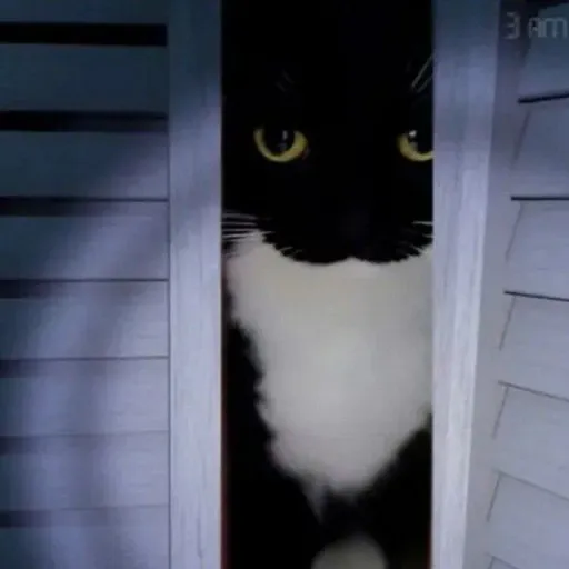 creator Maxville's avatar