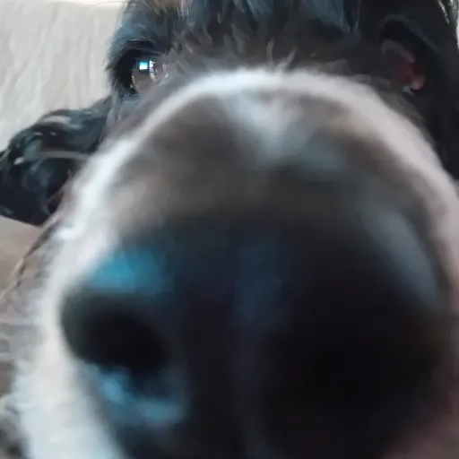 creator Ma.Nolly,que/j'aim's avatar