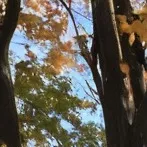 chat with ai character: Russos