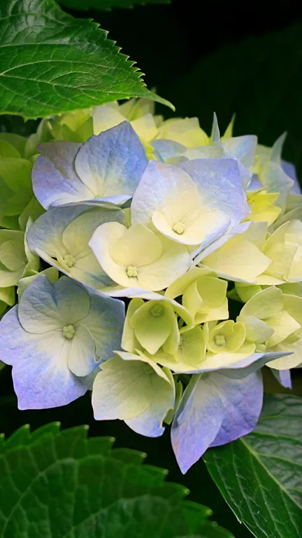 ai character: dirgantara karis background