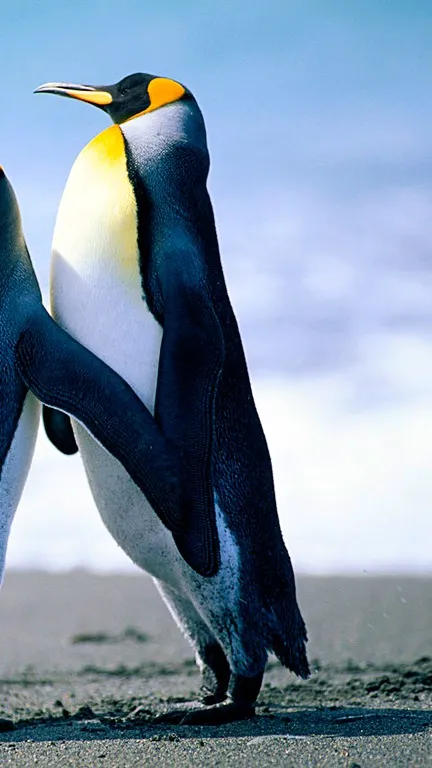 ai character: bakwan fight back  background