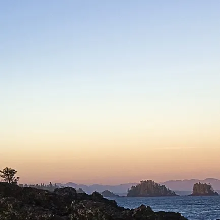 chat with ai character: medi dan jeje bfb.