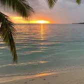 creator niniposter's avatar