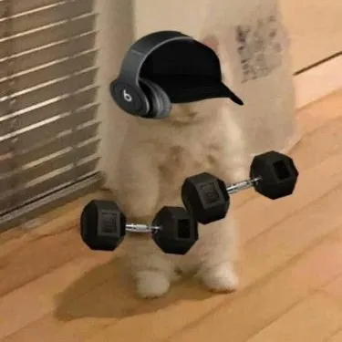 creator ThiagoTK's avatar