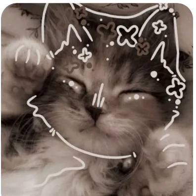 creator ﹏★Cutie_pie★﹏'s avatar