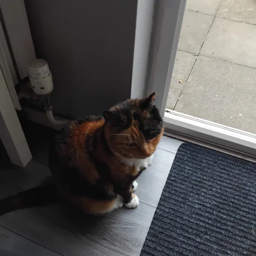 creator jake Wadsworth's avatar