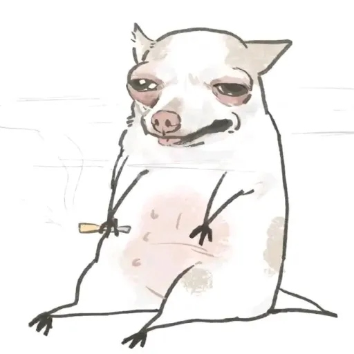 creator Señorhistoria's avatar