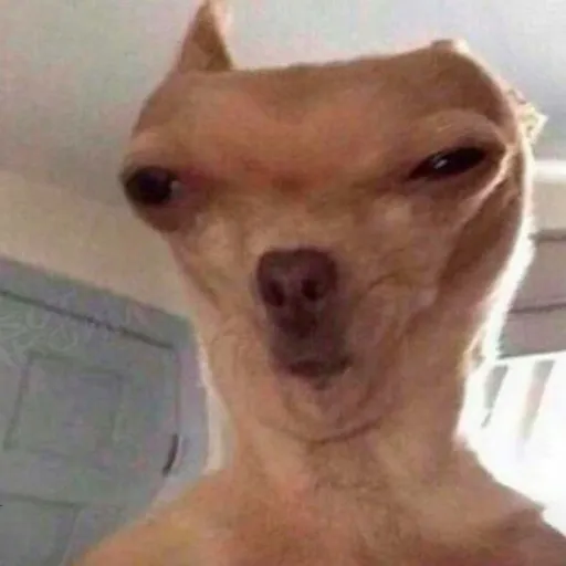 creator El dani xd's avatar