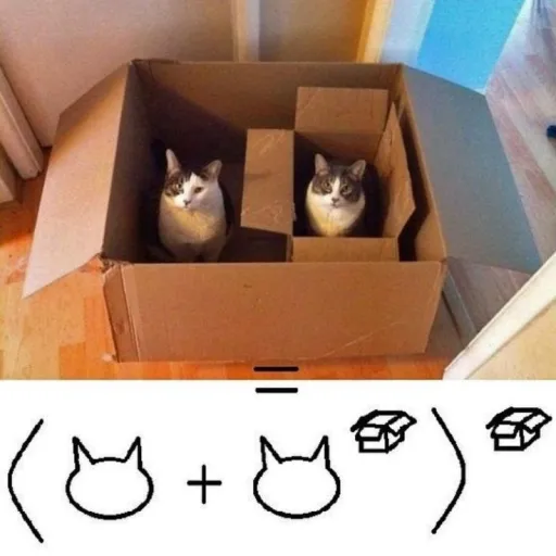 creator whats .wrong?'s avatar