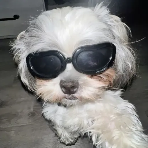 creator SlayMfs💅💅💅's avatar