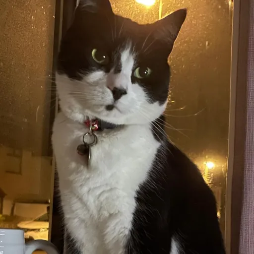 creator Talkior-KbhsZXfB's avatar