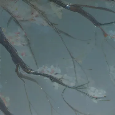 chat with ai character: Bad family........