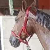 creator Cello000123's avatar