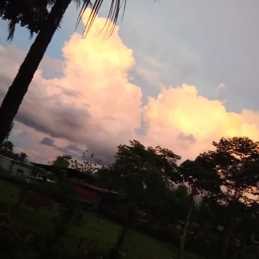 creator Zai's_stories's avatar