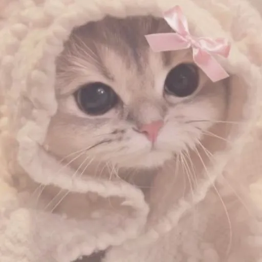 creator STAR—> 빰's avatar