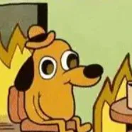 chat with ai character: frank the bongo