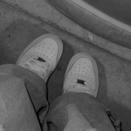 creator venada's avatar