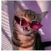 creator ~tangina_mo~'s avatar