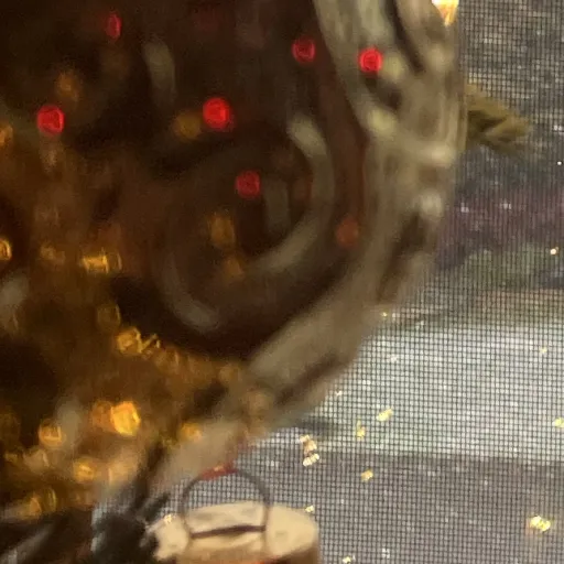 creator Talkior-AWex1DoA's avatar