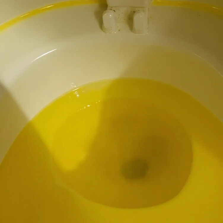 chat with ai character: The void of piss