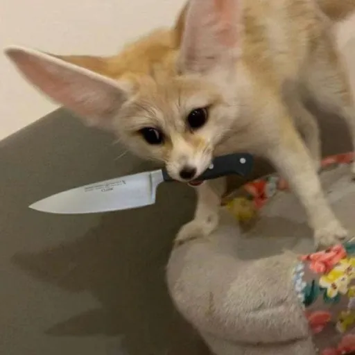 creator Rexi.therian's avatar