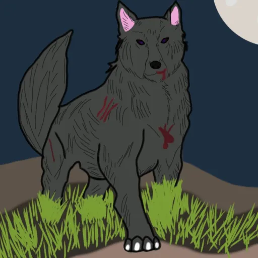 creator Indom.'s avatar