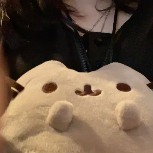 creator Meri.ೃ࿔'s avatar