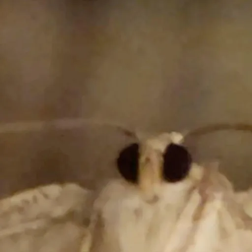 creator Dr0gon's avatar