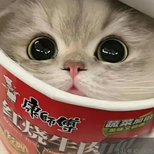 creator ✨LaPetiteNouille💅's avatar