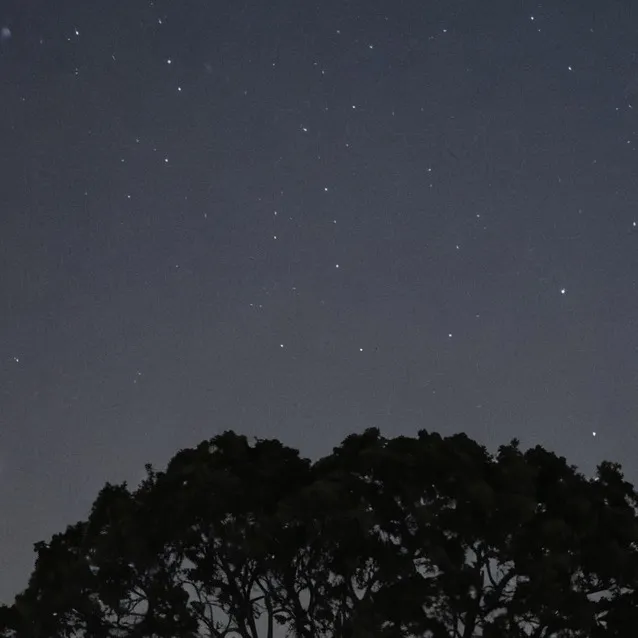 chat with ai character: the purge