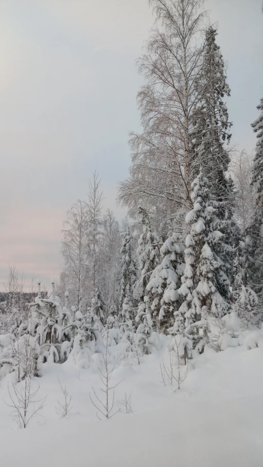 ai character: Ask me anything background