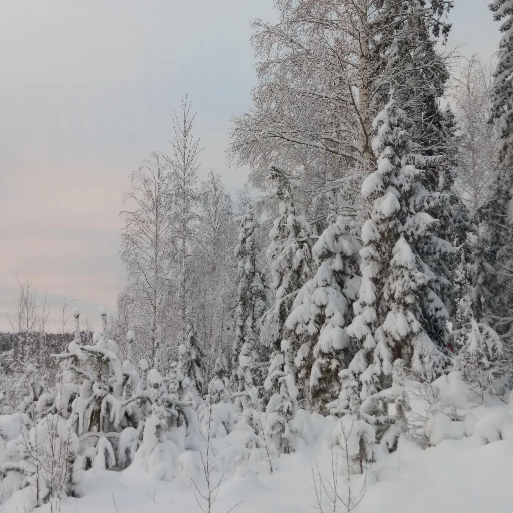 chat with ai character: Ask me anything