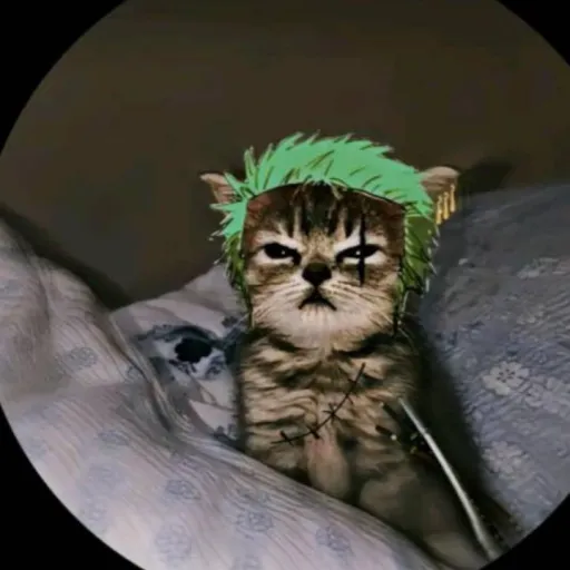 creator XD soi mario👉👈bien's avatar