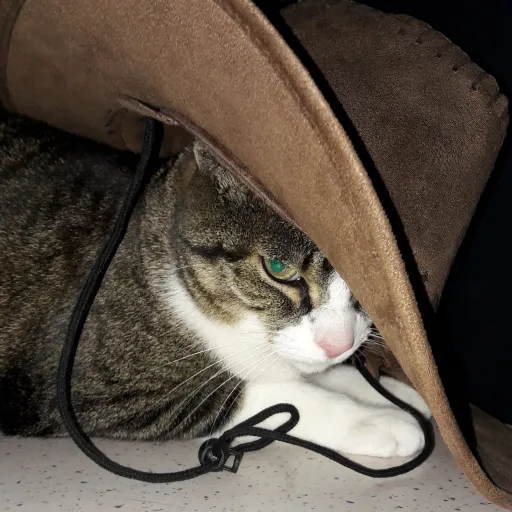 creator starmagnus's avatar