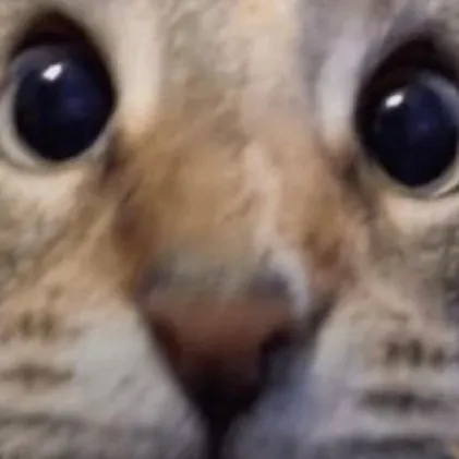 chat with ai character: Rai