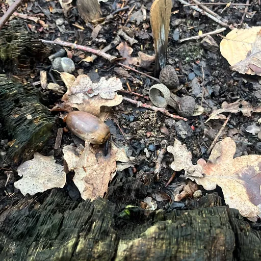 creator micheal🎧🚬🎸🍣's avatar