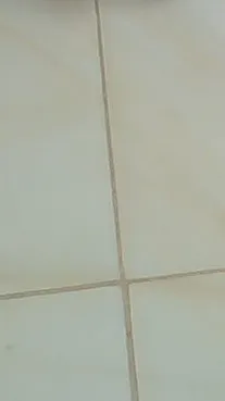 ai character: NEXBOTS SCHOOL background