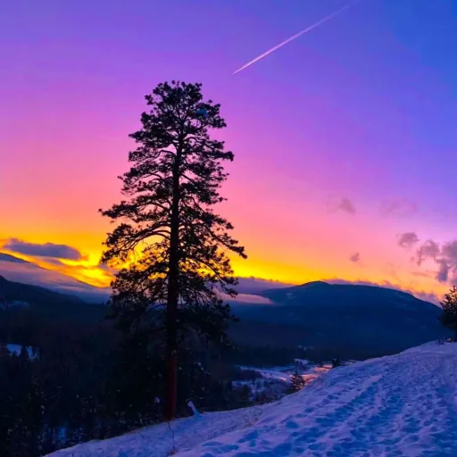 creator secrets.....'s avatar