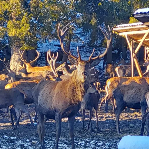 creator air...'s avatar