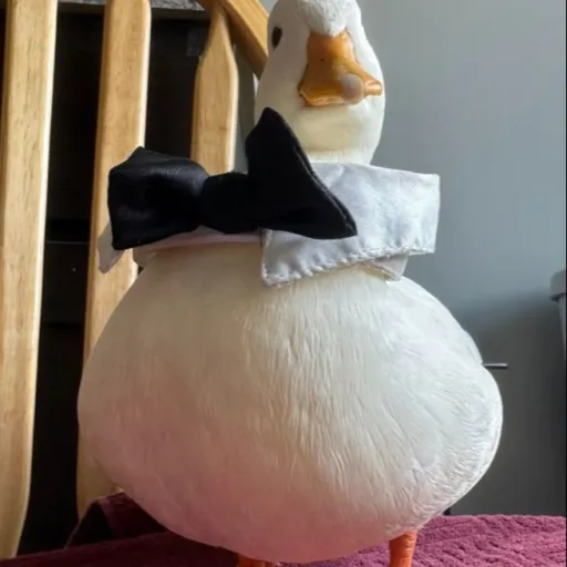 creator Waddles The duck's avatar