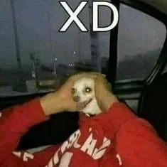 creator una personarandom2's avatar