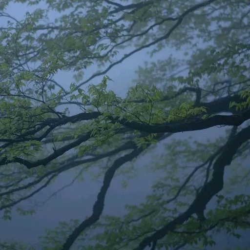 creator The_flow_of_wind's avatar