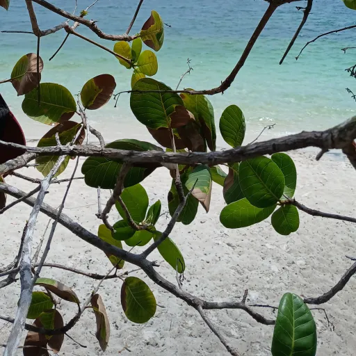 creator Talkie User!'s avatar