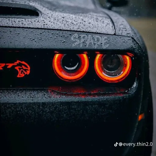 creator FanDeGoku's avatar