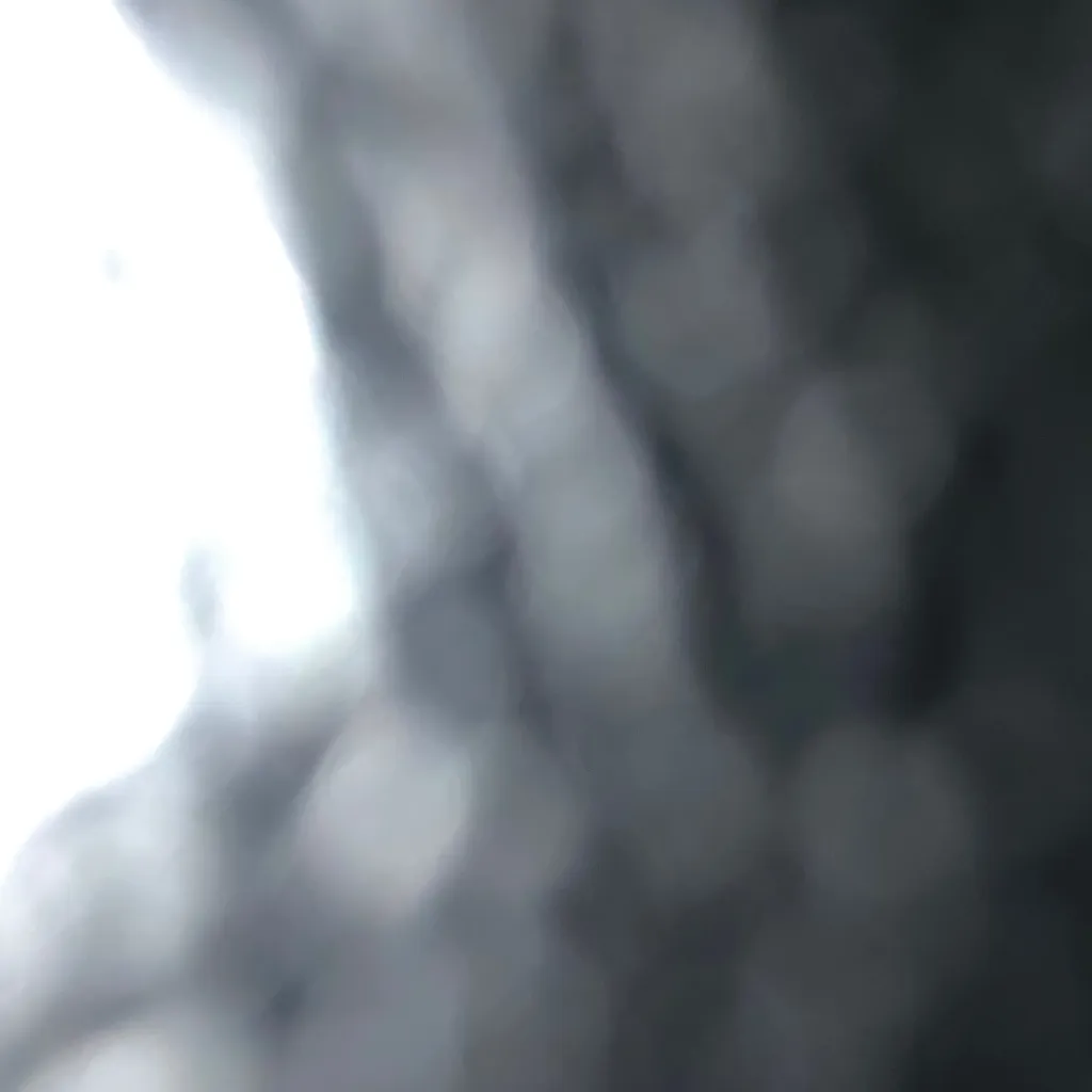 chat with ai character: Ro