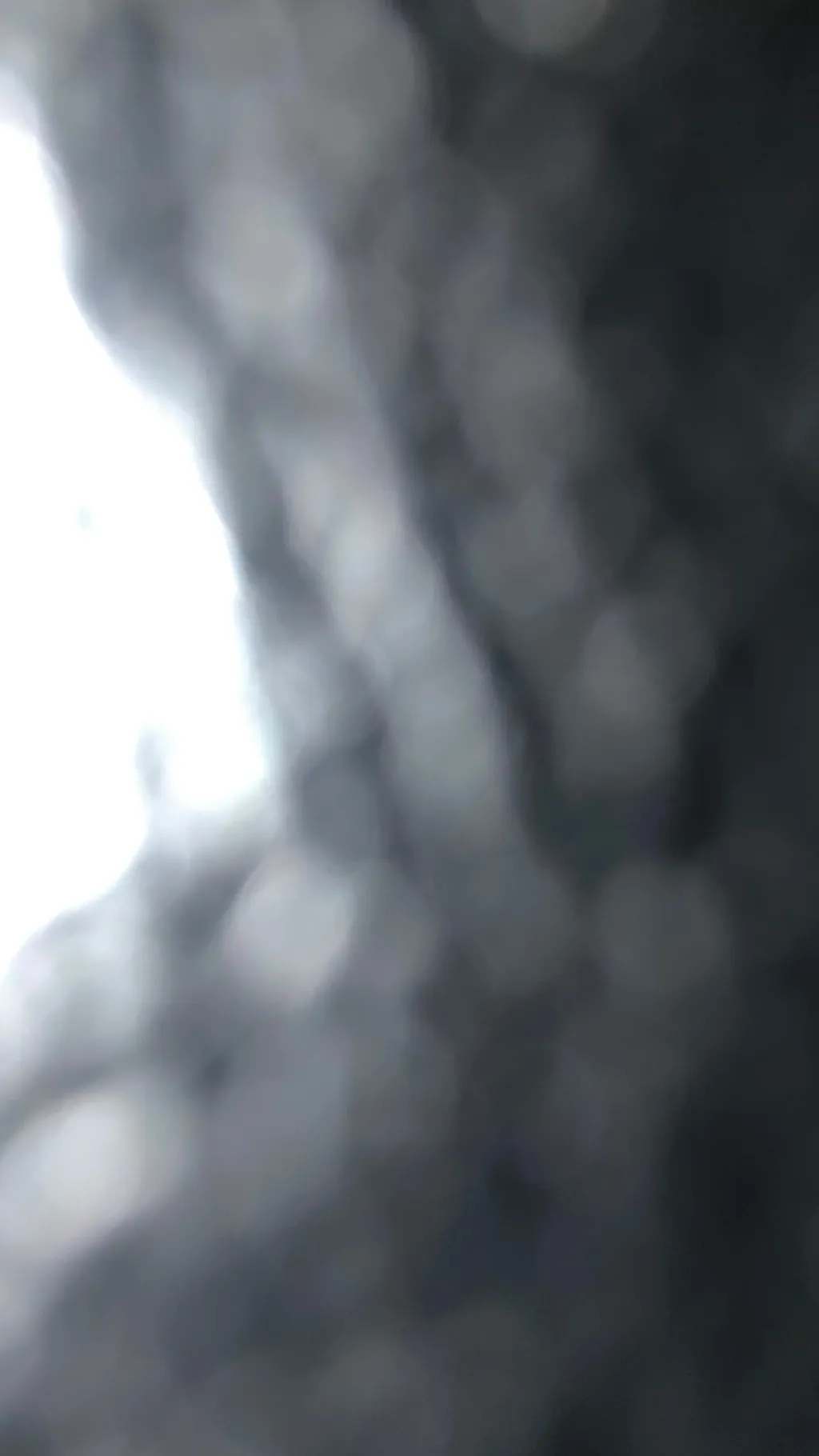 ai character: Ro background