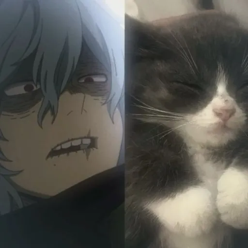 creator ★Todoriko★'s avatar