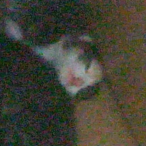 creator º[liz]º's avatar